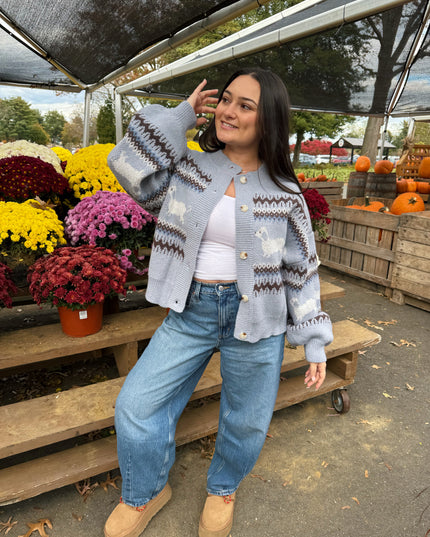 Dapple Doxie Sweater