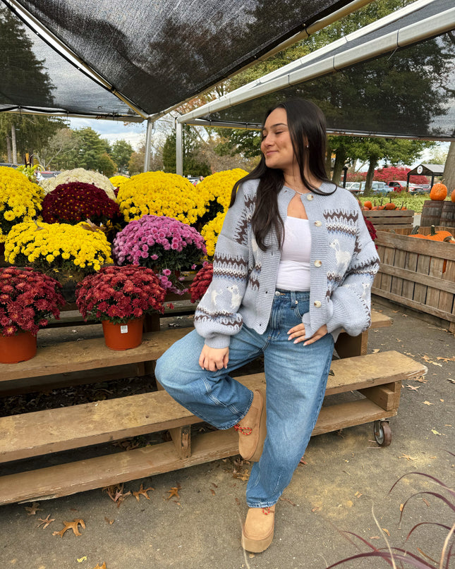 Dapple Doxie Sweater