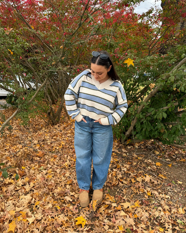 Blueberry Creme V-Neck Sweater