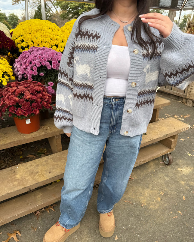 Dapple Doxie Sweater