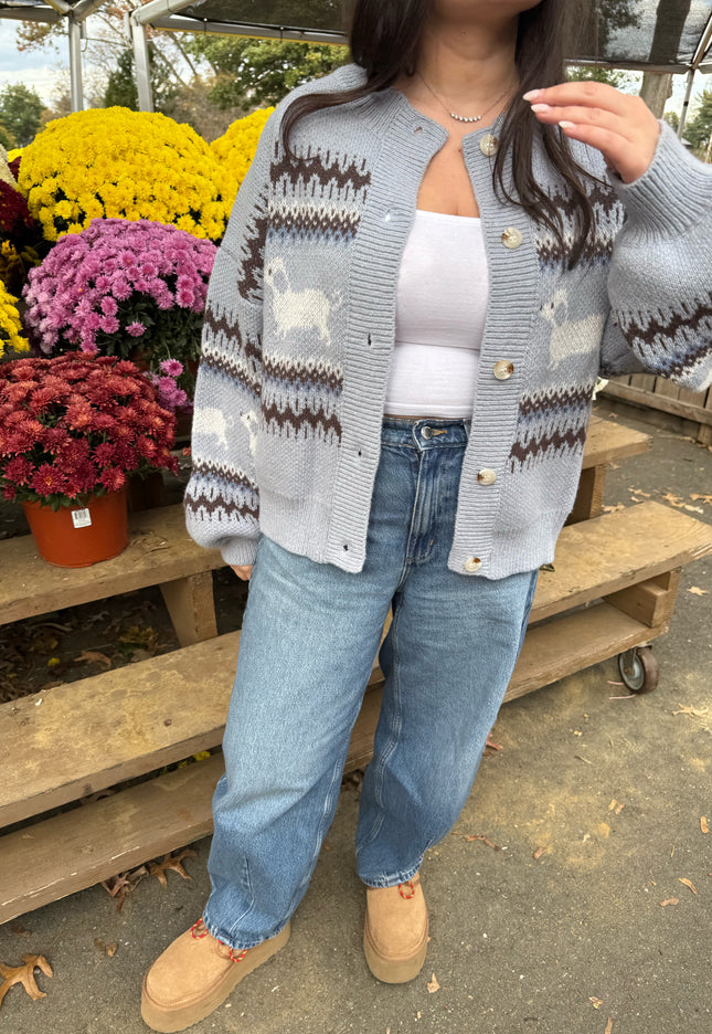 Dapple Doxie Sweater